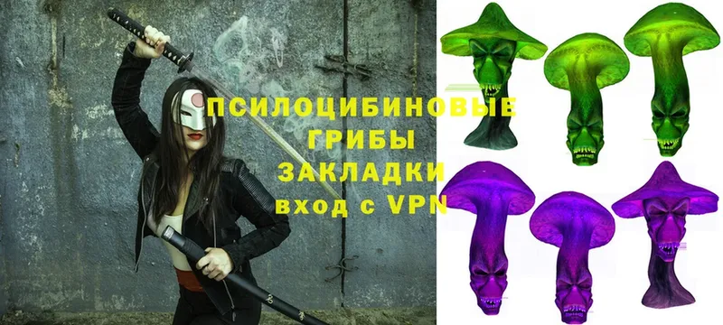 Галлюциногенные грибы MAGIC MUSHROOMS  цены наркотик  Злынка 