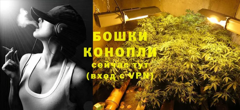 купить наркотик  Злынка  Бошки Шишки Ganja 